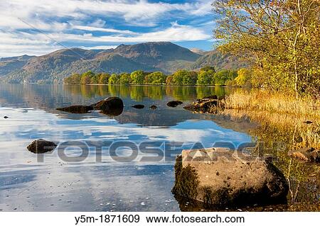 Autumn trees at Ullswater in the Lake District National Park, Cumbria, England, UK, Europe View Large Photo Image Stock Photo - Autumn trees at Ullswater in the Lake District National Park, Cumbria, England, UK, Europe. Fotosearch