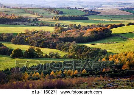 Autumn Trees near Edlingham Northumberland England View Large Photo Image Stock Image - Autumn Trees near Edlingham Northumberland England. Fotosearch