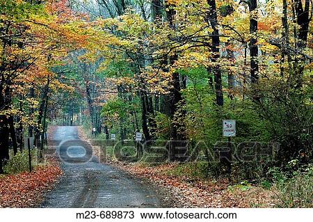 Autumn trees overhang a road, Pennsylvania, USA View Large Photo Image Stock Image - Autumn trees overhang a road, Pennsylvania, USA. Fotosearch