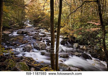 Autumn, Tremont, Great Smoky Mountains National Park, TN View Large Photo Image Stock Image - Autumn, Tremont, Great Smoky Mountains National Park, TN. Fotosearch