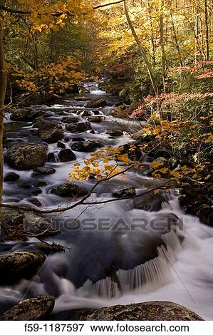 Autumn, Tremont, Great Smoky Mountains National Park, TN View Large Photo Image Stock Photo - Autumn, Tremont, Great Smoky Mountains National Park, TN. Fotosearch