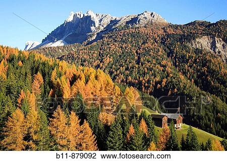 Autumnal scenic at Passo Erbe, Wurzjoch, Val di Funes, Villno? tal, Trentino, Italy View Large Photo Image Stock Image - Autumnal scenic at Passo Erbe, Wurzjoch, Val di Funes, Villno? tal, Trentino, Italy. Fotosearch