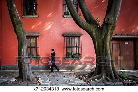 Avenida Francisco Sosa, Coyoacan, Mexico City, Mexico. View Large Photo Image Stock Photo - Avenida Francisco Sosa, Coyoacan, Mexico City, Mexico.. Fotosearch