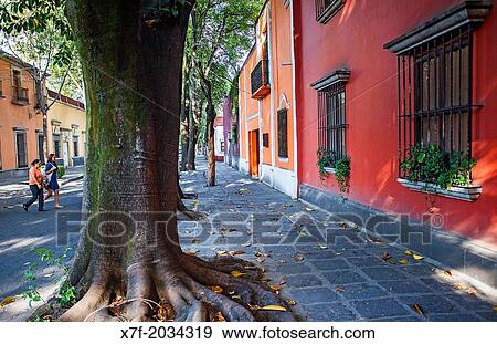 Avenida Francisco Sosa, Coyoacan, Mexico City, Mexico. View Large Photo Image Stock Photo - Avenida Francisco Sosa, Coyoacan, Mexico City, Mexico.. Fotosearch