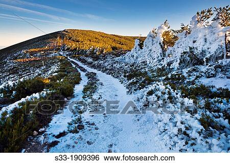 Stock Photograph - Aventadero hill in the Sierra Norte Riofrio de Riaza Segovia Castilla Le? n Spain. Fotosearch