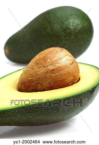 Avocado, persea gratissima against White Background. View Large Photo Image Picture - Avocado, persea gratissima against White Background.. Fotosearch