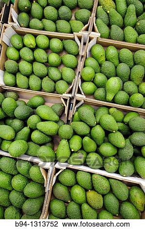 Avocados in a supermarket, France View Large Photo Image Stock Image - Avocados in a supermarket, France. Fotosearch
