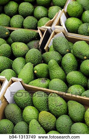 Avocados in a supermarket, France View Large Photo Image Stock Photo - Avocados in a supermarket, France. Fotosearch