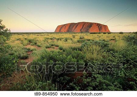 Ayers Rock, sandstone massif, sunrise View Large Photo Image Stock Image - Ayers Rock, sandstone massif, sunrise. Fotosearch