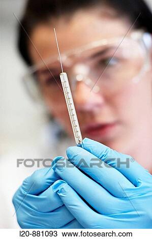 Stock Image - Azti-Tecnalia, Marine and Food Research Technological Centre, Derio, Biscay, Basque Country, Spain. Fotosearch
