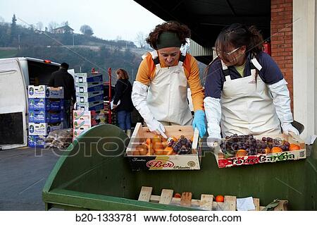 Azti-Tecnalia researchers, Cleanfeed project (prevention of vegetal waste generation and reuse for animal feed), Mercabilbao fruits and vegetables wholesale market, Basauri, Bilbao, Bizkaia, Euskadi, Spain View Large Photo Image Stock Image - Azti-Tecnalia researchers, Cleanfeed project (prevention of vegetal waste generation and reuse for animal feed), Mercabilbao fruits and vegetables wholesale market, Basauri, Bilbao, Bizkaia, Euskadi, Spain. Fotosearch