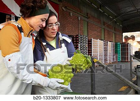 Azti-Tecnalia researchers, Cleanfeed project (prevention of vegetal waste generation and reuse for animal feed), Mercabilbao fruits and vegetables wholesale market, Basauri, Bilbao, Bizkaia, Euskadi, Spain View Large Photo Image Stock Photo - Azti-Tecnalia researchers, Cleanfeed project (prevention of vegetal waste generation and reuse for animal feed), Mercabilbao fruits and vegetables wholesale market, Basauri, Bilbao, Bizkaia, Euskadi, Spain. Fotosearch