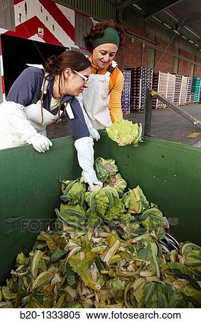 Azti-Tecnalia researchers, Cleanfeed project (prevention of vegetal waste generation and reuse for animal feed), Mercabilbao fruits and vegetables wholesale market, Basauri, Bilbao, Bizkaia, Euskadi, Spain View Large Photo Image Stock Photography - Azti-Tecnalia researchers, Cleanfeed project (prevention of vegetal waste generation and reuse for animal feed), Mercabilbao fruits and vegetables wholesale market, Basauri, Bilbao, Bizkaia, Euskadi, Spain. Fotosearch