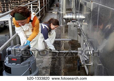 Azti-Tecnalia researchers collecting water samples for analysis, box washing machine, Mercabilbao fruits and vegetables wholesale market, Basauri, Bilbao, Bizkaia, Euskadi, Spain View Large Photo Image Stock Image - Azti-Tecnalia researchers collecting water samples for analysis, box washing machine, Mercabilbao fruits and vegetables wholesale market, Basauri, Bilbao, Bizkaia, Euskadi, Spain. Fotosearch