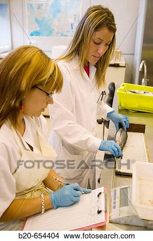AZTI-Tecnalia. Technological Centre specialised in Marine and Food Research. Pasaia, Gipuzkoa, Euskadi. Spain. View Large Photo Image Picture - AZTI-Tecnalia. Technological Centre specialised in Marine and Food Research. Pasaia, Gipuzkoa, Euskadi. Spain.. Fotosearch