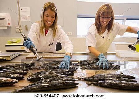 Stock Photo - AZTI-Tecnalia. Technological Centre specialised in Marine and Food Research. Pasaia, Gipuzkoa, Euskadi. Spain.. Fotosearch