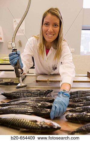 Stock Photo - AZTI-Tecnalia. Technological Centre specialised in Marine and Food Research. Pasaia, Gipuzkoa, Euskadi. Spain.. Fotosearch