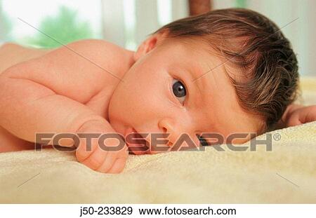 Baby, 3 - 6 months View Large Photo Image Stock Photo - Baby, 3 - 6 months. Fotosearch