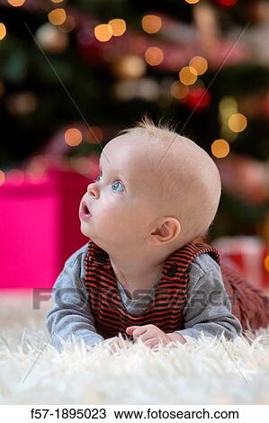 Baby boy at Christmas View Large Photo Image Stock Image - Baby boy at Christmas. Fotosearch