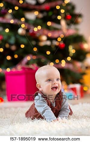Baby boy at Christmas View Large Photo Image Stock Photo - Baby boy at Christmas. Fotosearch
