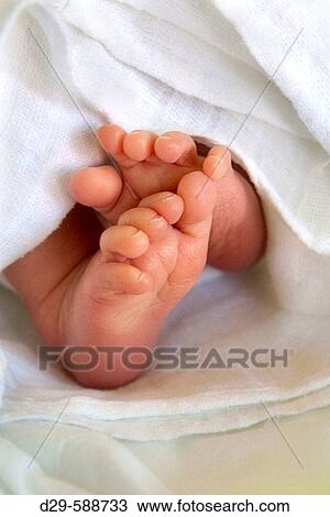 Baby boy feet View Large Photo Image Stock Image - Baby boy feet. Fotosearch