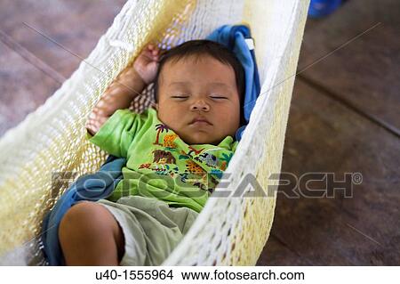 Picture - Baby Boy in hammock. Fotosearch