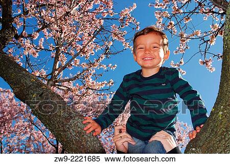 Baby boy three years old smiling and climbing to an almond tree covered with flowers, Madrid, Spain View Large Photo Image Stock Photography - Baby boy three years old smiling and climbing to an almond tree covered with flowers, Madrid, Spain. Fotosearch