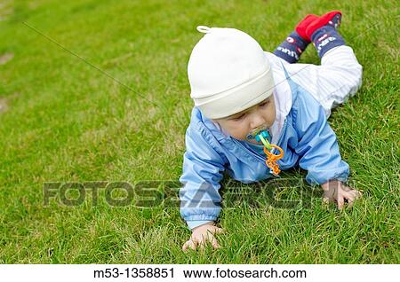 Baby crawling trough grass View Large Photo Image Stock Image - Baby crawling trough grass. Fotosearch
