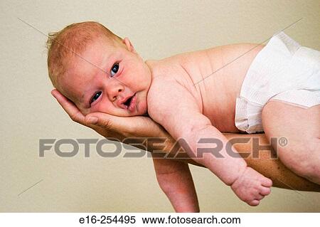 baby in parent's hand View Large Photo Image Stock Photography - baby in parent's hand. Fotosearch