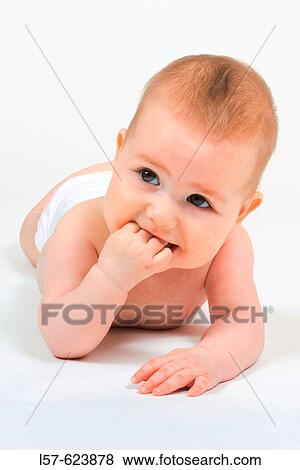 Baby lying on tummy, wearing nappies, Studio, Oetwil am See, Zuerich, Switzerland View Large Photo Image Stock Photo - Baby lying on tummy, wearing nappies, Studio, Oetwil am See, Zuerich, Switzerland. Fotosearch