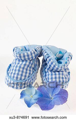 Baby shoes with flowers View Large Photo Image Stock Image - Baby shoes with flowers. Fotosearch