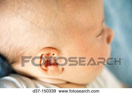 Stock Photo - Baby. Fotosearch