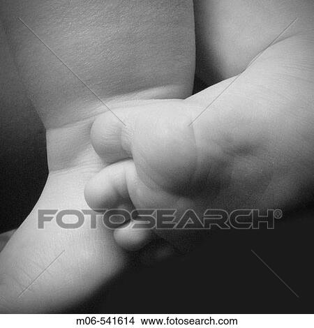 Baby toes View Large Photo Image Picture - Baby toes. Fotosearch