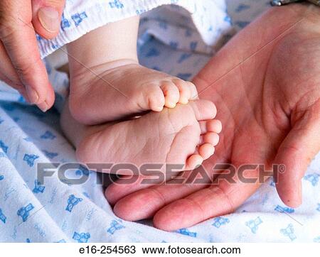 Stock Image - Baby's feet in parent's hands. Fotosearch