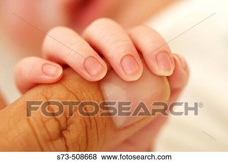 Baby's fingers touching his father? s View Large Photo Image Stock Photo - Baby's fingers touching his father? s. Fotosearch