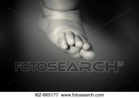 Stock Photo - Baby's foot. Fotosearch