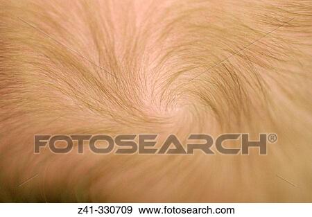 Stock Photo - baby's hair. Fotosearch