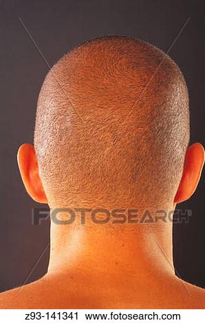 Stock Image - Back of man's head. Fotosearch