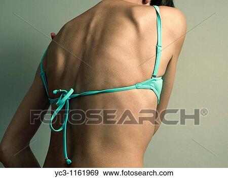 Stock Photo - Back. Fotosearch