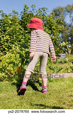 Stock Photography - Back view of young child standing in garden watching green plants and flowers.. Fotosearch
