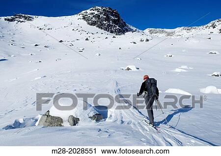 Backcountry ski touring in Upper Marriott Basin in winter, Coast Mountains British Columbia. View Large Photo Image Stock Image - Backcountry ski touring in Upper Marriott Basin in winter, Coast Mountains British Columbia.. Fotosearch