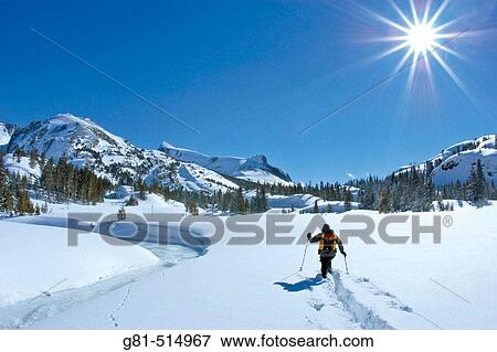 Backcountry skier in fresh snow along frozen Lee Vining Creek, Inyo National Forest, Sierra Nevada Mountains, California View Large Photo Image Stock Photo - Backcountry skier in fresh snow along frozen Lee Vining Creek, Inyo National Forest, Sierra Nevada Mountains, California. Fotosearch