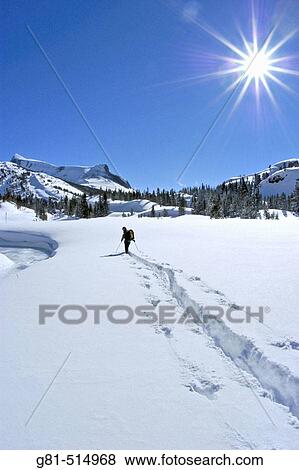 Backcountry skier in fresh snow along frozen Lee Vining Creek, Inyo National Forest, Sierra Nevada Mountains, California View Large Photo Image Stock Photo - Backcountry skier in fresh snow along frozen Lee Vining Creek, Inyo National Forest, Sierra Nevada Mountains, California. Fotosearch