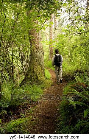 Backpacker on trail - South Whidbey Island State Park, Washington View Large Photo Image Stock Photo - Backpacker on trail - South Whidbey Island State Park, Washington. Fotosearch