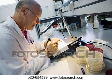 Bacteries count. Microbiology Laboratory. Microbiological analysis of food. AZTI-Tecnalia. Technological Centre specialised in Marine and Food Research. Sukarrieta, Bizkaia, Euskadi. Spain. View Large Photo Image Stock Photo - Bacteries count. Microbiology Laboratory. Microbiological analysis of food. AZTI-Tecnalia. Technological Centre specialised in Marine and Food Research. Sukarrieta, Bizkaia, Euskadi. Spain.. Fotosearch