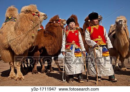 Bactrian camels, Grand Parade,? festival of a thousand camels? Bulgan, winter in Gobi desert, Mongolia View Large Photo Image Stock Photo - Bactrian camels, Grand Parade,? festival of a thousand camels? Bulgan, winter in Gobi desert, Mongolia. Fotosearch