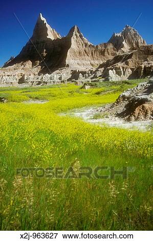 Badlands National Park, South Dakota - Late spring in Badlands National Park View Large Photo Image Stock Photo - Badlands National Park, South Dakota - Late spring in Badlands National Park. Fotosearch