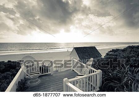 Bahamas, Eleuthera Island, Harbour Island, Pink Sands Beach, morning View Large Photo Image Stock Photo - Bahamas, Eleuthera Island, Harbour Island, Pink Sands Beach, morning. Fotosearch