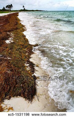 Bahia Honda, Keys, Florida, Usa View Large Photo Image Stock Photo - Bahia Honda, Keys, Florida, Usa. Fotosearch