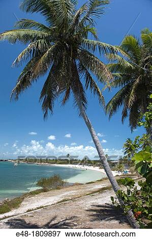 BAHIA HONDA STATE PARK BAHIA HONDA KEY FLORIDA USA View Large Photo Image Stock Photo - BAHIA HONDA STATE PARK BAHIA HONDA KEY FLORIDA USA. Fotosearch